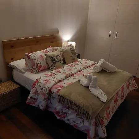 Apartment Centrico En